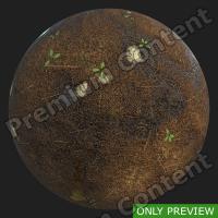 PBR substance preview forest ground wet 0002